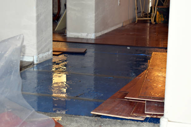 Professional Flood Damage Restoration technician working in Callender, IA